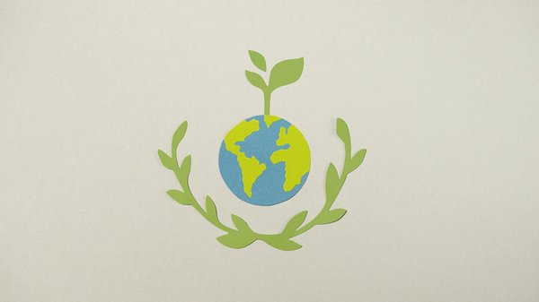 Laïcité et Éducation : Décodons le Rôle Pivotal de l'École